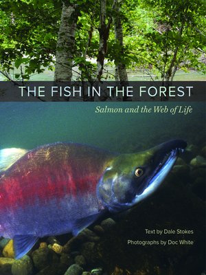 cover image of The Fish in the Forest